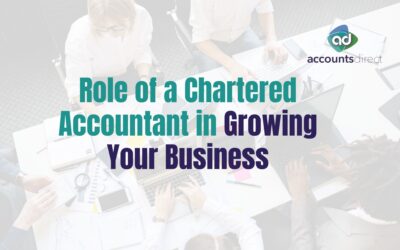 The Role of a Chartered Accountant in Growing Your Business